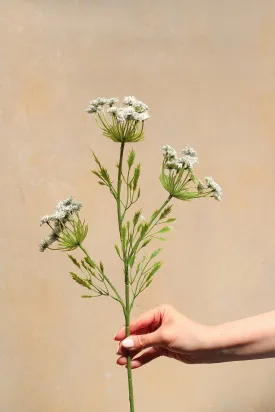 Faux Cow Parsley Spray